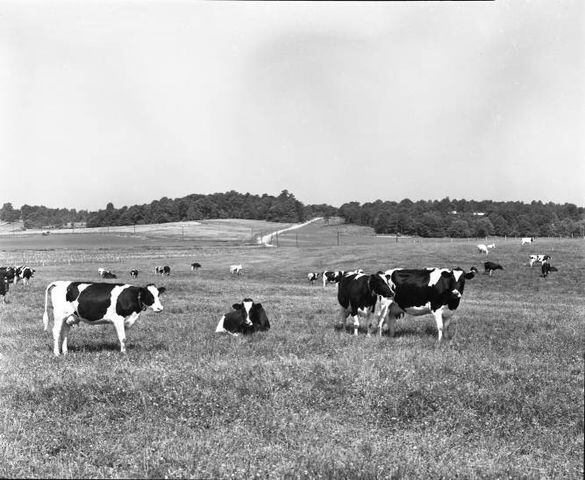 Flashback Photos: Life at the Atlanta Prison Farm