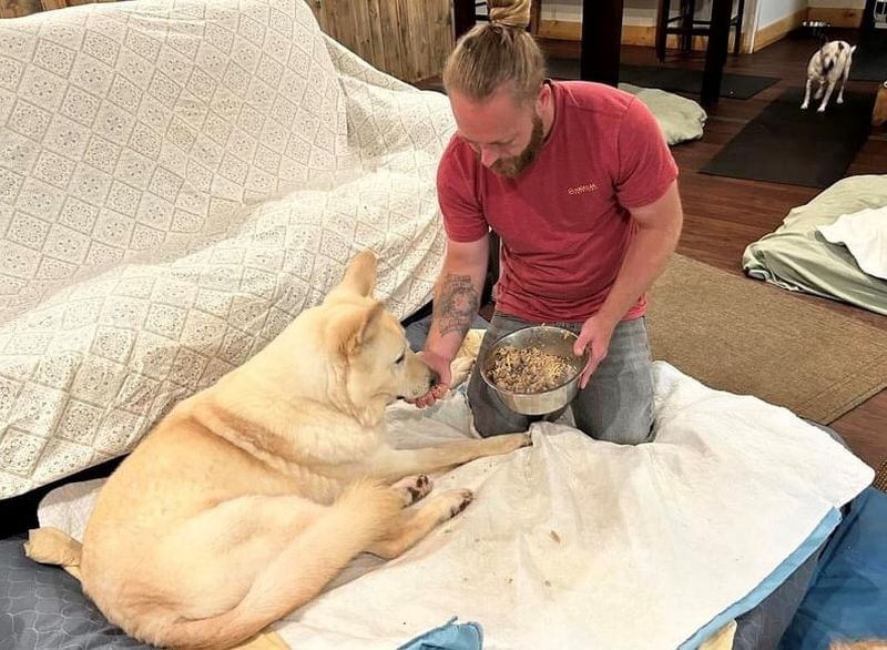 Food is a really big deal at Frankie and Andy's Place. Every day our care staff cook fresh food from scratch for all the dogs. Here is team member Dustin hand feeding our beautiful 13-year-old resident white Shepherd, Hugh Jackman, a fresh pork and vegetable casserole for breakfast. Photo courtesy of Penny Miller