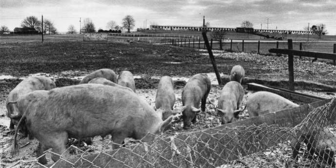 Flashback Photos: Life at the Atlanta Prison Farm