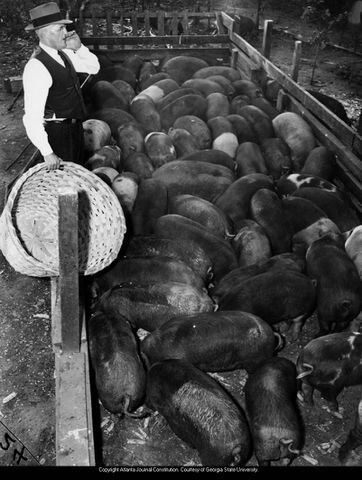 Flashback Photos: Life at the Atlanta Prison Farm