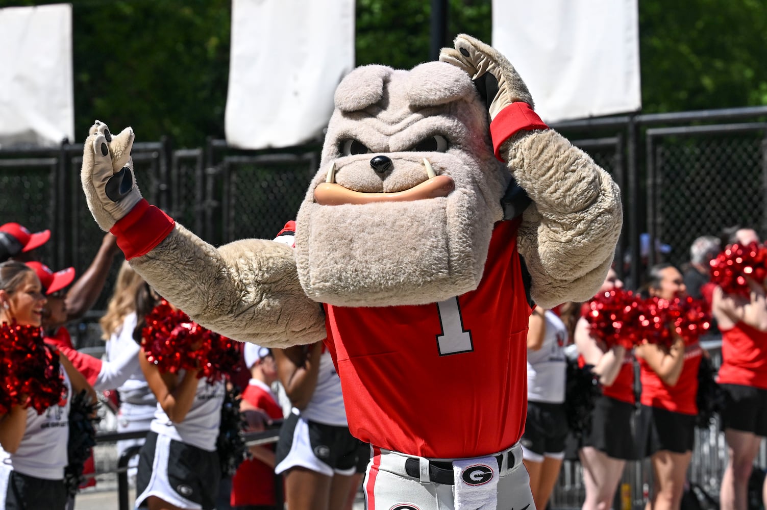 Hairy Dawg greets fans prior to the start of the G-Day spring football game Saturday, April 12, 2025 at Sanford Stadium in Athens. (Daniel Varnado/For the Atlanta Journal-Constitution)