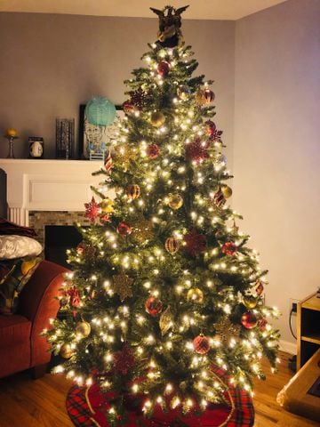 Photos: From elegant to Charlie Brown-style, Atlantans share their Christmas trees