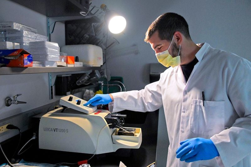 Graduate student Tony Cole sciles brain material extracted from a C57 subject, using a vibratome after a study in mice at University of Maryland Medical System revealed that a promising psychedelic drug psilocybin (a component in 200 species of fungus known as "magic mushrooms") could maybe treat depression without the psychedelic trip, which could cut time and cost of the drug's use Wednesday, May 12, 2021. (Karl Merton Ferron/Baltimore Sun/TNS)